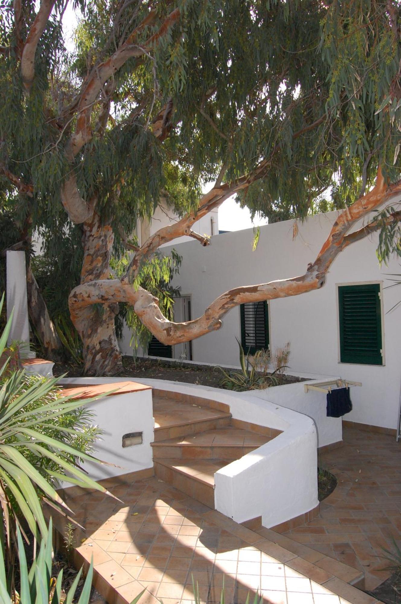 Conti Vulcano (Isola)