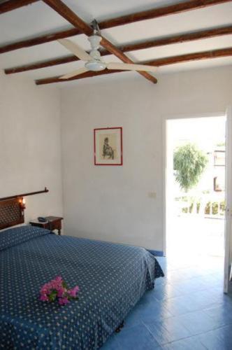 Conti 3*